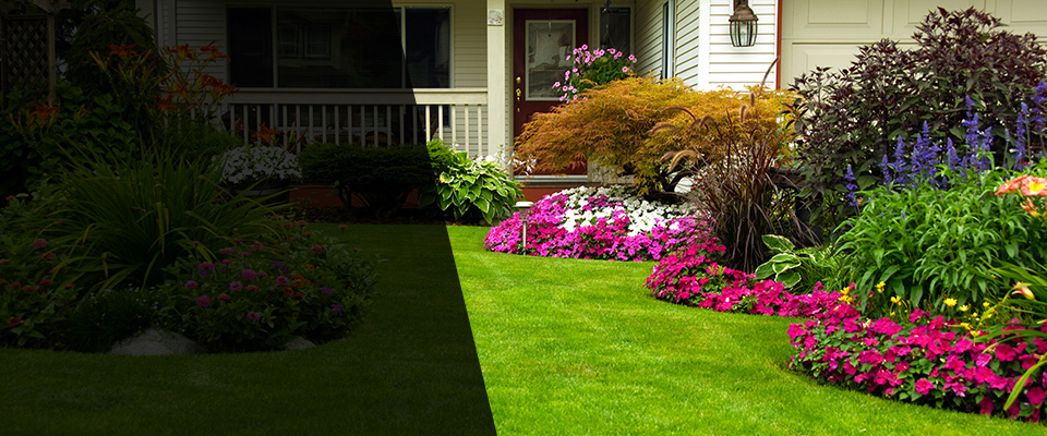 Sandwich Landscapers