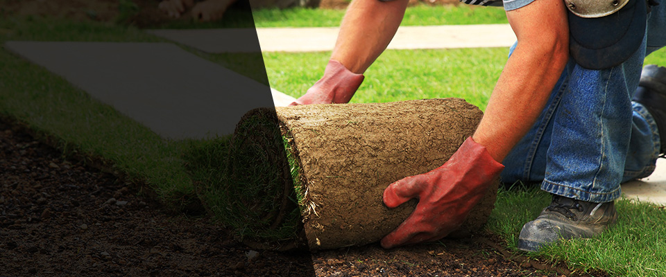 Sandwich Landscapers